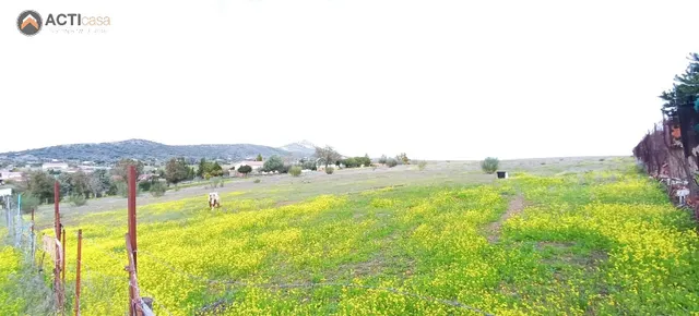 TERRENO EN VENTA ENTRE SIERRA DE FUENTES Y TORREORGAZ. - foto 4