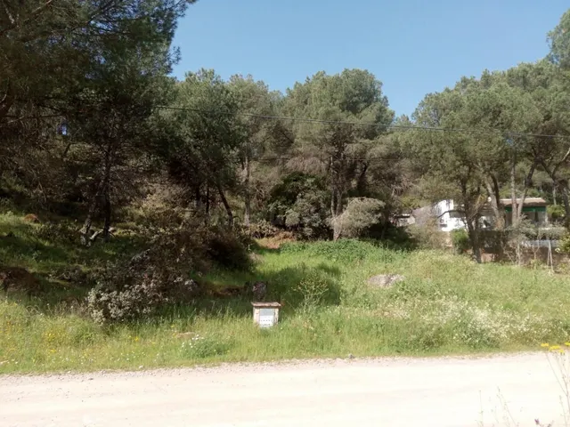 PARCELA URBANIZACIÓN JARAS - foto 3