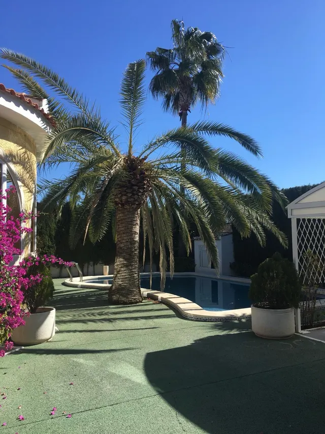 CHALET EN CIUDAD QUESADA POR 330.000€ — 24