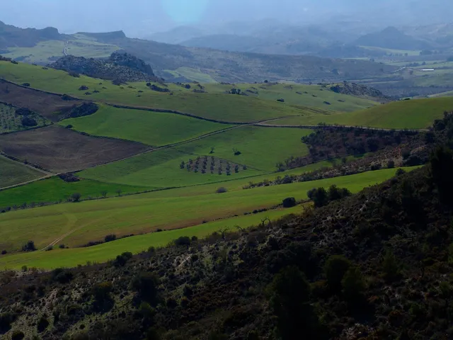 Impresionante finca edificable cerca de Málaga — 19