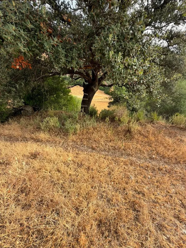 Terreno Rústico de 35 fanegas en FINCA LA SERENA! — 24
