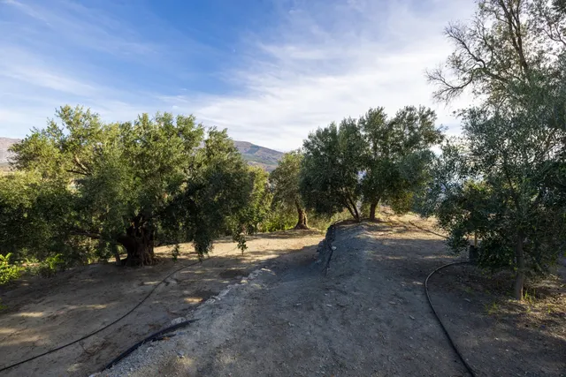 ¡Oportunidad única! Dos Fincas rústicas de mas de 15.000 m2 en total en Pinos del Valle. VENTA JUNTAS O SEPARADAS — 29