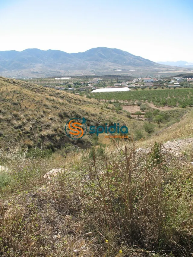 VENTA DE PARCELA DE 3H EN GOÑAR, HUÉRCAL OVERA - foto 5