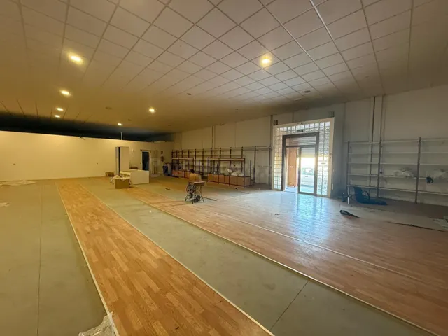 1.000 m2 DE NAVES INDUSTRIALES EN LOBÓN - foto 5