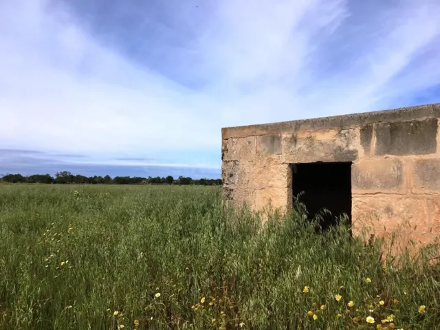 Finca Rústica en Campos