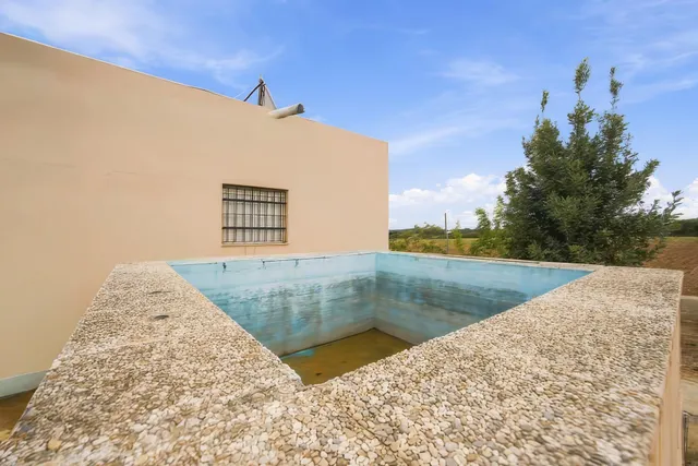 Finca rústica hipotecable con casa, pozo y frutales en Chiclana — 7