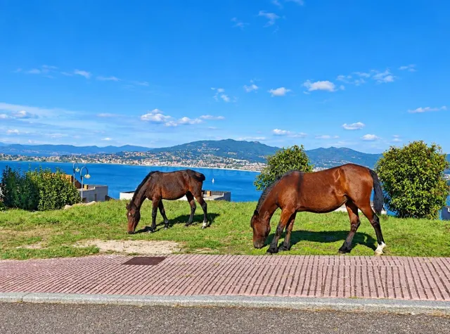 TERRAZA CON VISTAS MAR EN BAIONA