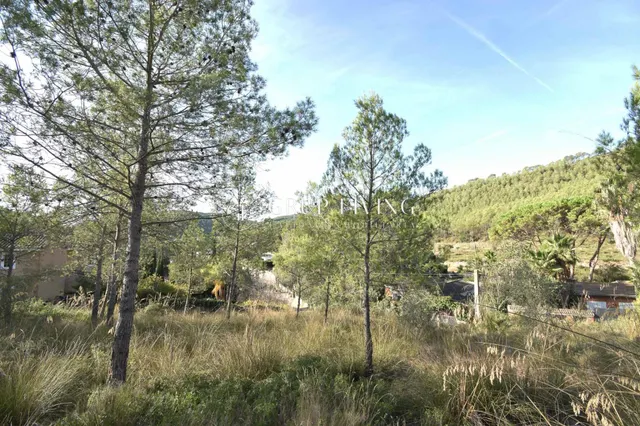 TERRENO CON BUENA ORIENTACIÓN Y VISTAS EN MAS MESTRE — 11