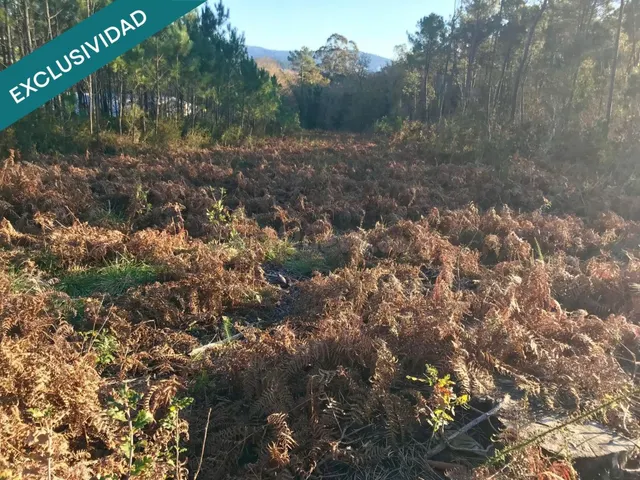 Terreno edificable en A Toxeira