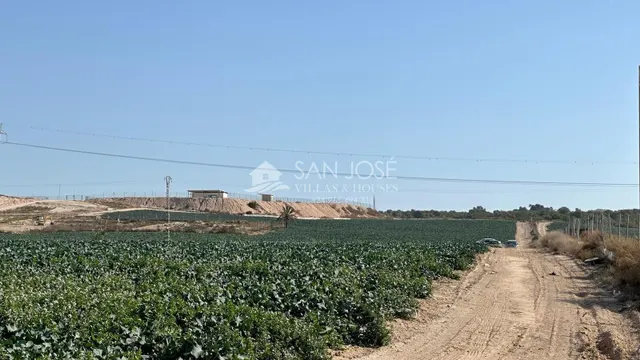 SE VENDE PARCELA URBANIZABLE EN LA MARINA-ELCHE — 5