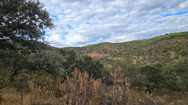 FINCA RUSTICA CON VIVIENDA — 8
