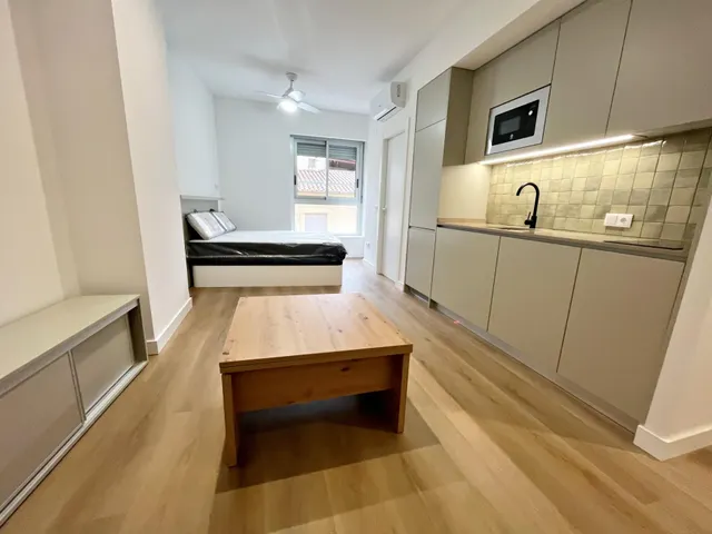 LOFT CON REFORMA A ESTRENAR PARA CORTA Y MEDIA ESTANCIA — 26