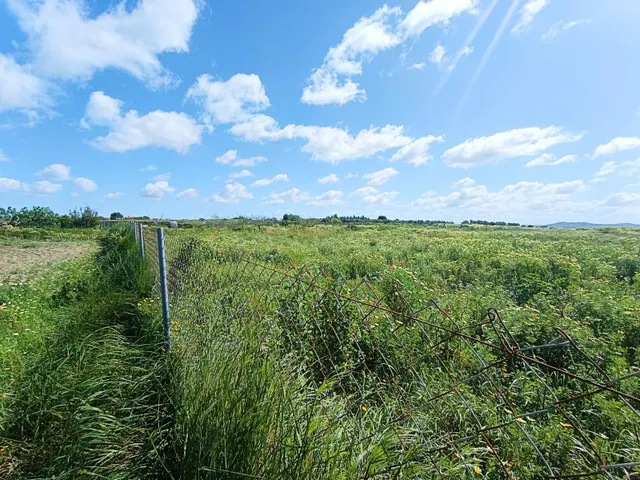 🌱ASOMBROSA PARCELA DE 3353 m2 EN EL MARQUESADO (MIRALAMAR)🌱 - foto 3