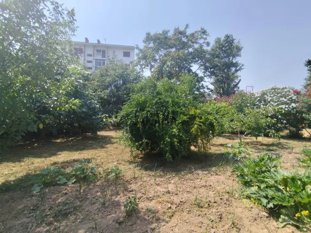 CASA RURAL CON AMPLIO TERRENO EN CASCANTE — 17