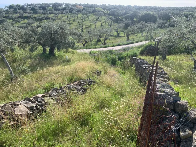 Paraje Carboneras, Casas de Millán — 8