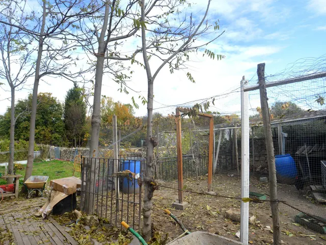 Finca Urbana en Bernuy — 6