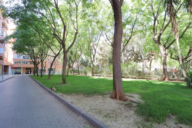 Local Comercial Insonorizado en Plaza Gaudí, Almería. — 11