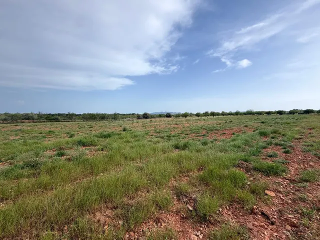 Terreno rural en venta - Comunidad valenciana - foto 5