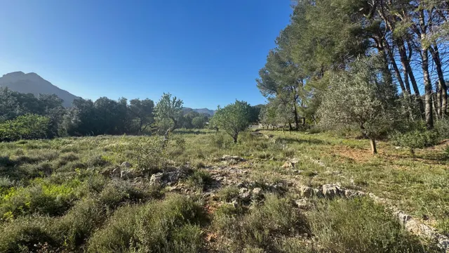 Parcela rústica edificable en entorno natural privilegiado — 9