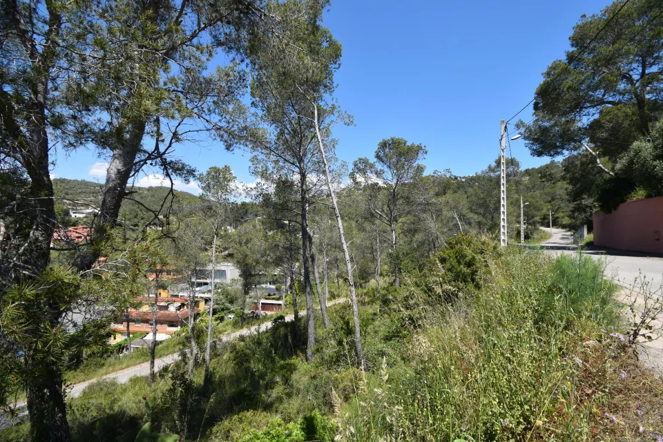 EXCELENTE TERRENO EN MAS MESTRE, OLIVELLA