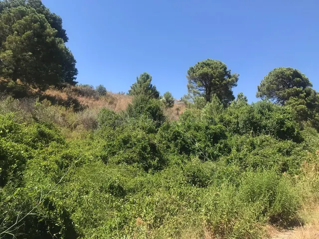 Parcela en venta - Costa Del Sol - foto 4