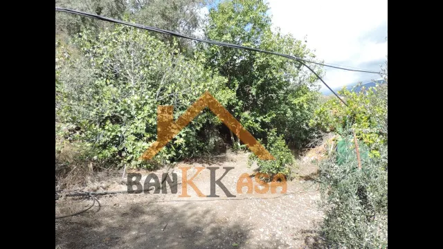 SE VENDE CASA CON TERRENO EN CHERÍN (UGÍJAR) PROVINCIA DE GRANADA — 33