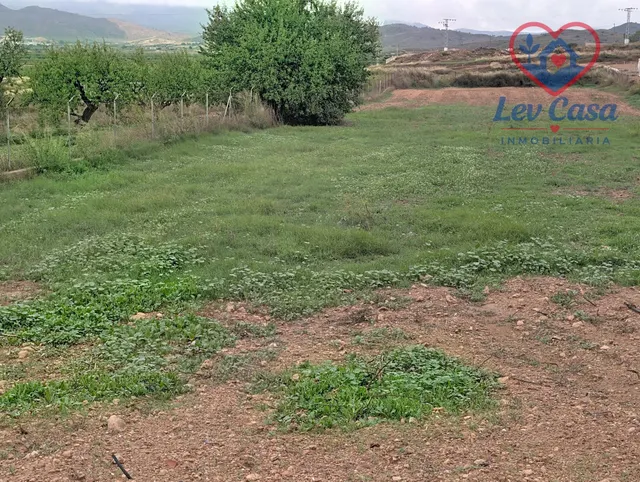 Se vende parcela de unos 3.000 m2 — 49.900 € — 9