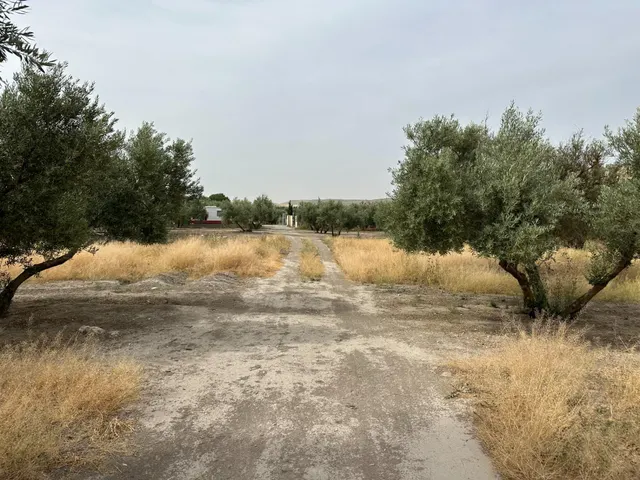 VENTA DE SOLAR URBANIZABLE DE 577 M2 EN CHIMENEAS — 19