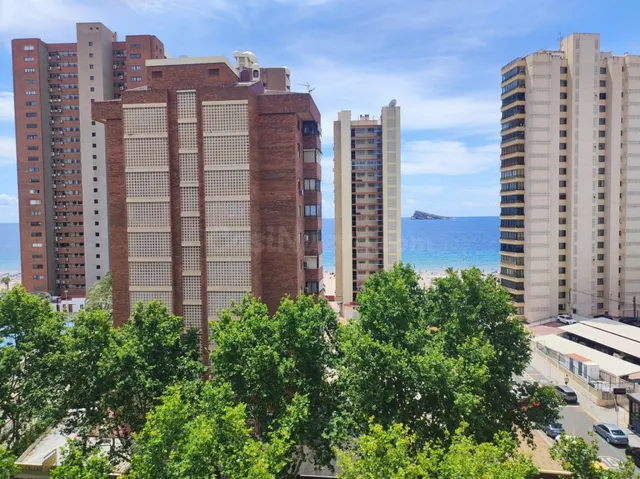 APARTAMENTO CON VISTAS AL MAR EN PLENA AVENIDA DEL MEDITERRÁ - foto 2