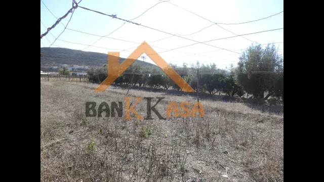 SE VENDE TERRERENO RURAL EN BERJA CON CORTIJO — 20