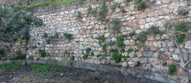 Casa de campo con gran terreno en Vélez Benaudalla - foto 4