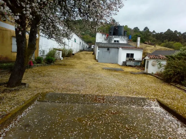 Chalet con jardín y piscina en Leiro — 22