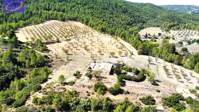 EN VENTA FINCA DE PASTOS EN YATOVA - foto 4