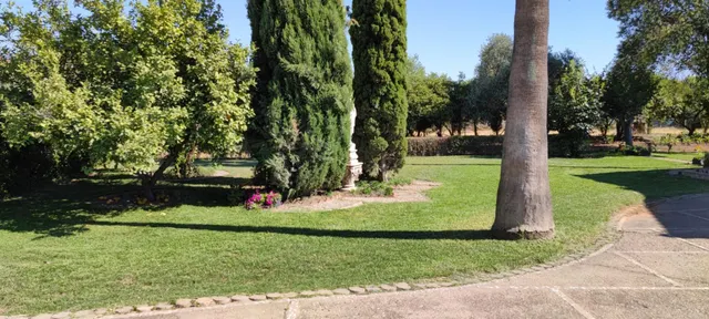 CASA Y TERRENO MUY CERCA DE CÓRDOBA, HIGUERÓN — 6