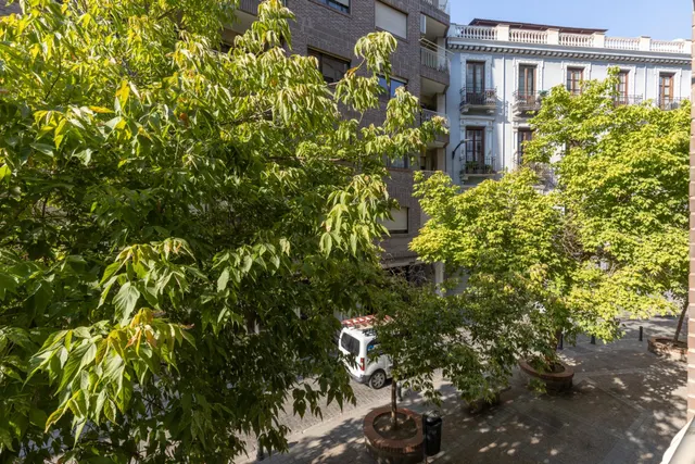 La amplitud que buscas, en el corazón de Granada — 8