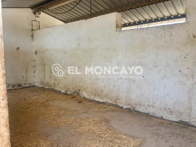 Fantástica finca rústica con piscina privada e instalaciones para caballos junto al Parc Natural del Fond en Dolores, Alicante — 38