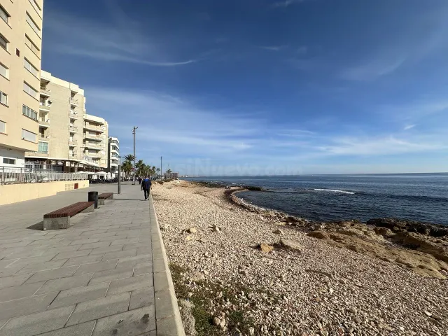 APARTAMENTO DE 2 DORMITORIOS 2 BAÑOS EN TORREVIEJA — 4