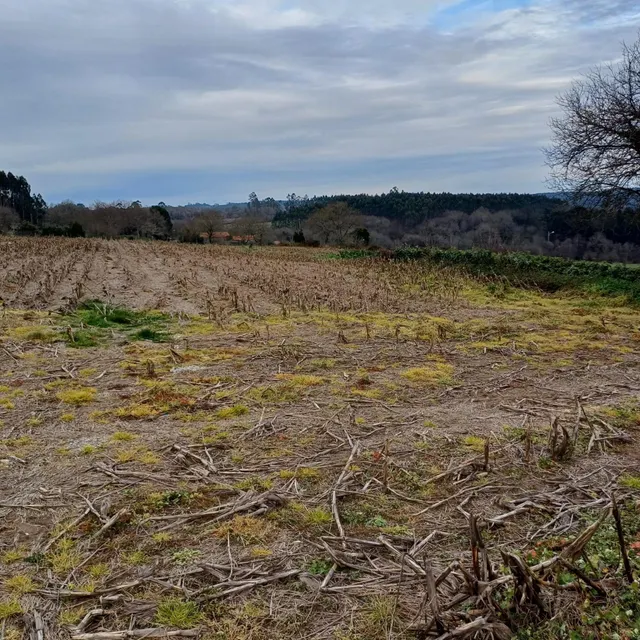 SE VENDE CASA DE ALDEA EN ARZUA PARA REFORMAR — 8