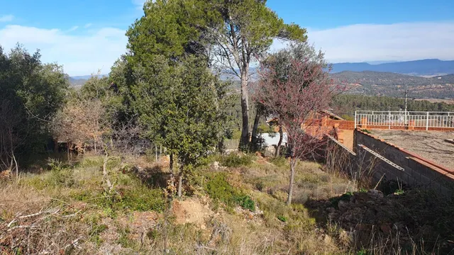 Terreno urbano en venta - Carme - foto 3