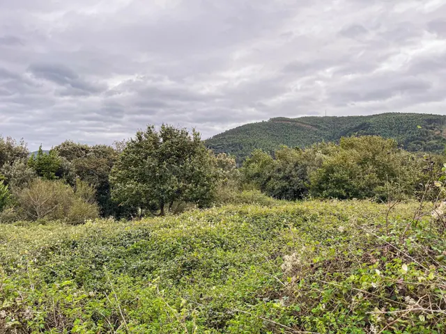Terreno urbanizable en venta - Voto - foto 3