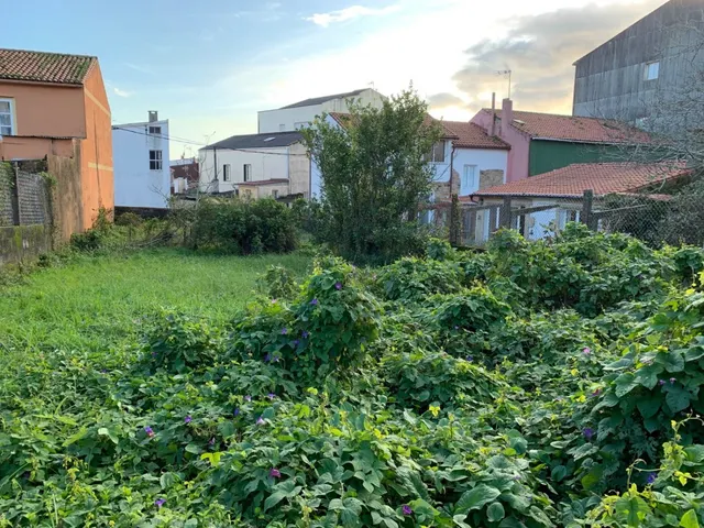 TERRENO URBANIZABLE EN CABO DE CRUZ — 9
