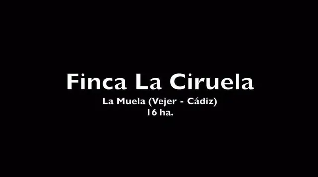 Preciosa finca de 16 hectáreas en Vejer de la Frontera — 21