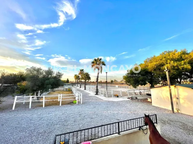 Fantástica finca rústica con piscina privada e instalaciones para caballos junto al Parc Natural del Fond en Dolores, Alicante — 7