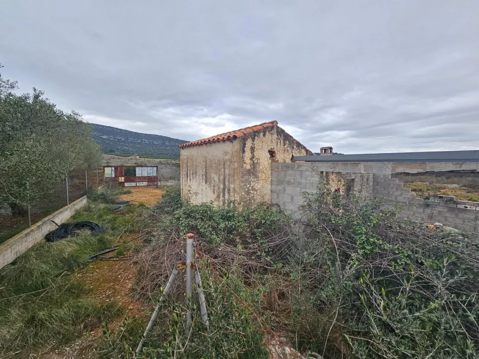 FINCA DE 5 HA EN FREGINALS CON CASA