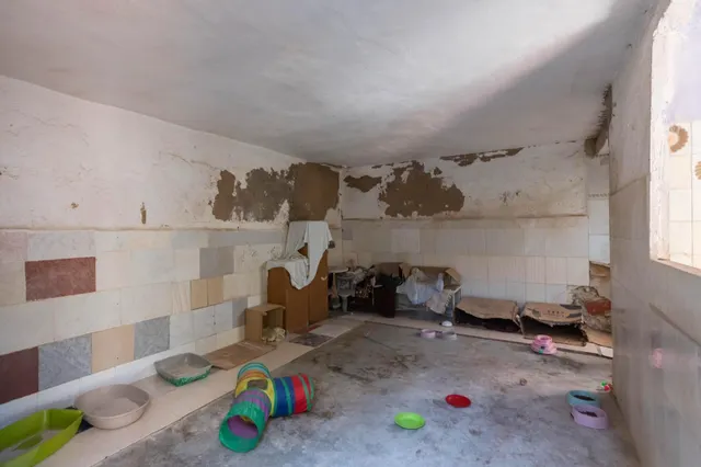 CASA EN LA ALBERCA — 43