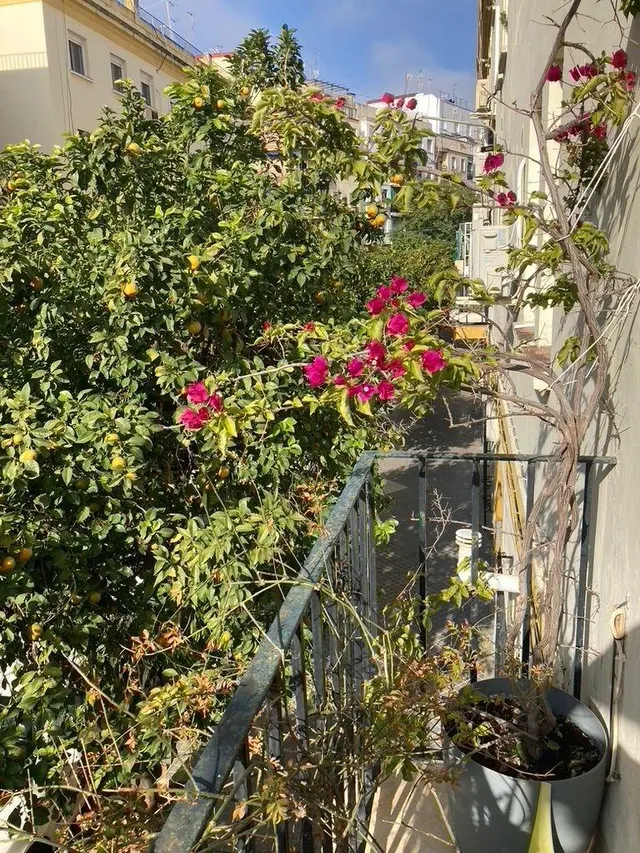 Se vende piso en Ciudad Jardín — 34
