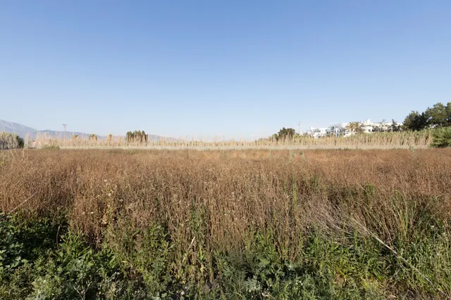 Invierte en el futuro de Playa Granada: una oportunidad únic - foto 4