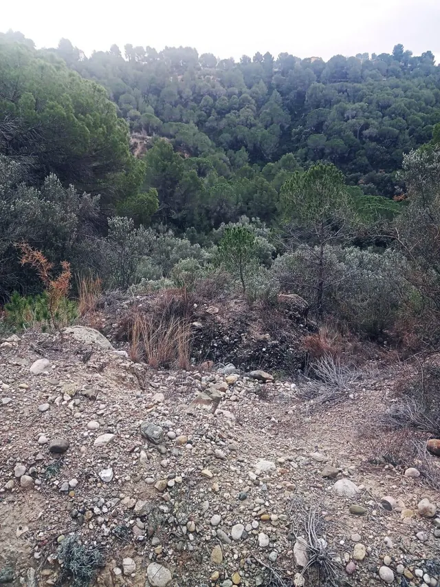 terreno Agrario — 10
