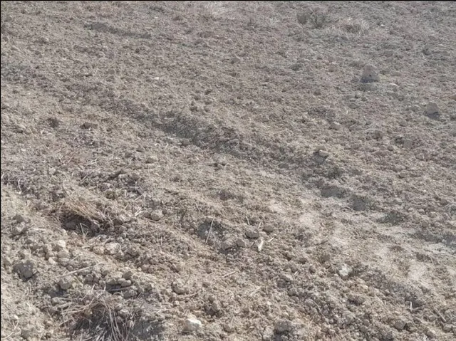 terreno Zona Jubalcoi- Las Saladas - foto 3