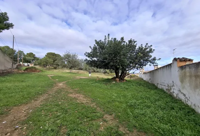 ¡Oportunidad única de inversión a solo 15 km de Valencia! - foto 2